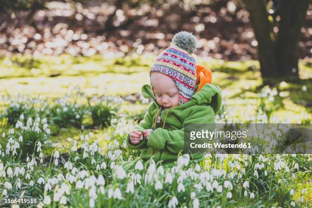 baby girl sitting on a meadow covered with snowdrops - snowdrops stockfoto's en -beelden