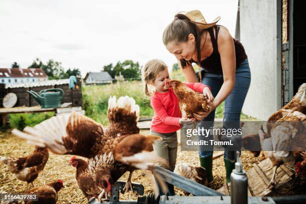 junges mädchen hilft mutter mit hühnern auf bauernhof - kids farm stock-fotos und bilder