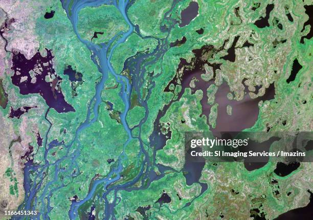 satellite image, wetland, brazil - brazil forest stock pictures, royalty-free photos & images