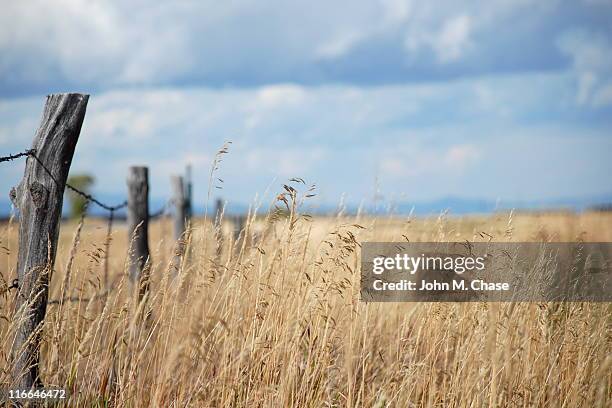 grass field mit zaun post - prairie stock-fotos und bilder