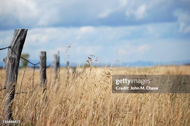 grass field with fence post - ranch fence stock pictures, royalty-free photos & images