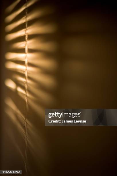 Window Light Coming In Light Coming Out Of Window Photos and Premium High Res Pictures - Getty ...