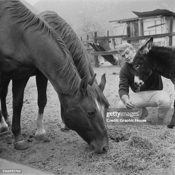 American actor Lee Majors at home on his ranch in Calabasas, California, circa 1965.