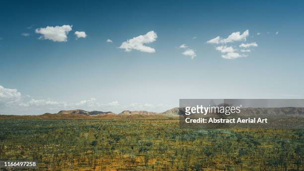 aerial shot looking over remote bushland with a mountainous backdrop, western australia - australian culture bildbanksfoton och bilder