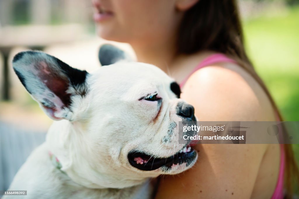 Young french bulldog with young women owner in park.