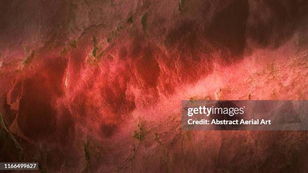 drone shot looking directly down on hutt lagoon, australia - cell structure stock pictures, royalty-free photos & images