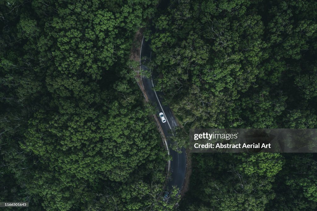 Car driving through a forest as seen from above, South Australia
