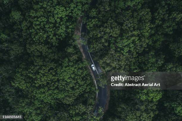 car driving through a forest as seen from above, south australia - ripresa di drone foto e immagini stock