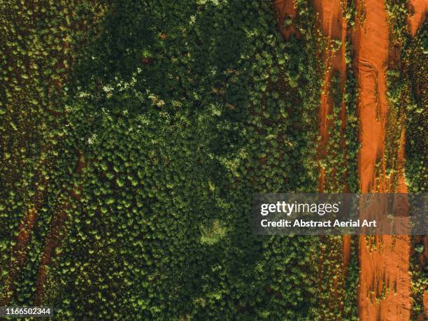 northern territory landscape shot from directly above, australia - cerrado - fotografias e filmes do acervo