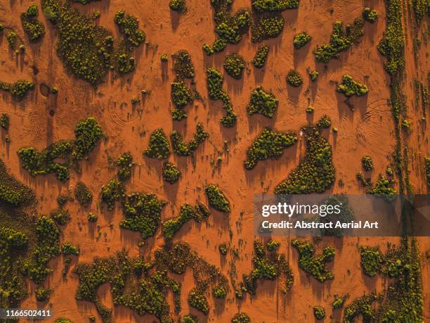 drone shot looking down on outback textures at sunset, northern territory, australia - australian outback landscape stockfoto's en -beelden