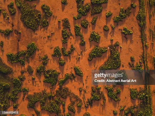 drone shot looking down on outback textures at sunset, northern territory, australia - território do norte - fotografias e filmes do acervo