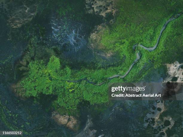 marlgu billabong shot by drone, the kimberley, australia - wilderness landscape stock pictures, royalty-free photos & images