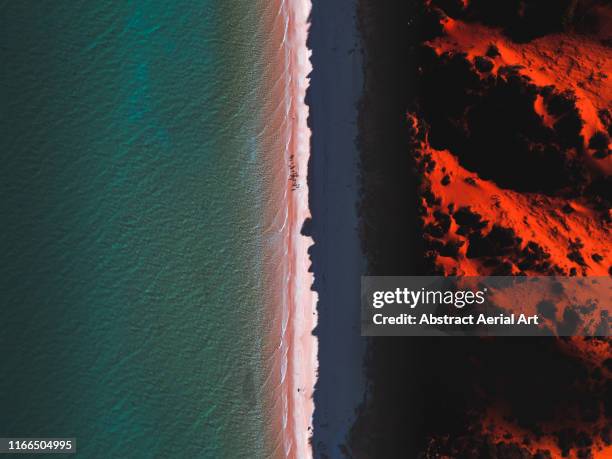 aerial shot of cape peron at sunset, shark bay, australia - opposti foto e immagini stock