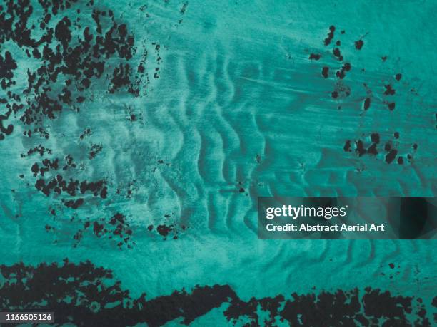 drone shot looking directly down on the ocean floor, shark bay, western australia - oceaanbodem stockfoto's en -beelden