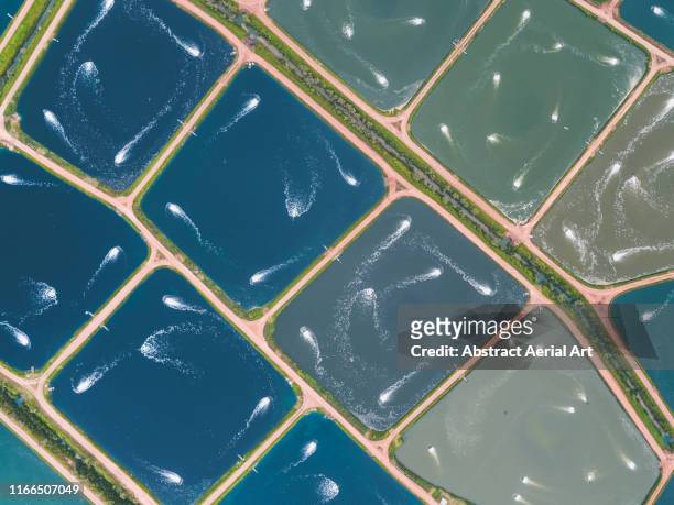 Drone perspective directly above aquaculture ponds, Queensland, Australia