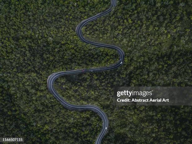 aerial shot of a winding forest road, gilles range, queensland, australia - road australia stockfoto's en -beelden