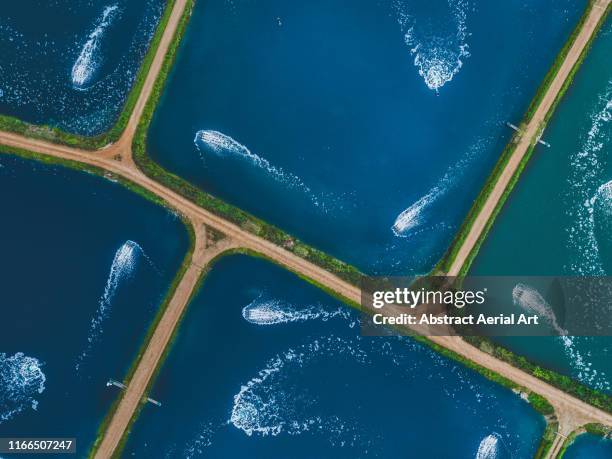 drone shot of aquaculture ponds, queensland, australia - aquakultur stock-fotos und bilder