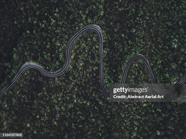 winding mountain road photographed from directly above, little mulgrave national park, queensland, australia - explore australia foto e immagini stock