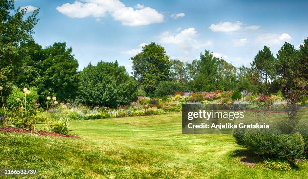colourful summer garden in bloom. - ziergarten stock-fotos und bilder