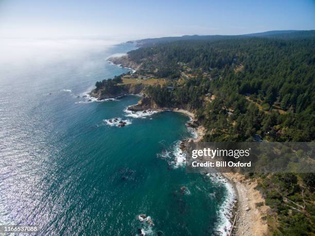 antena da costa do norte de califórnia com floresta e oceano - floresta de sequoias - fotografias e filmes do acervo