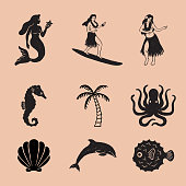 Vintage Tropical Icon Illustrations
