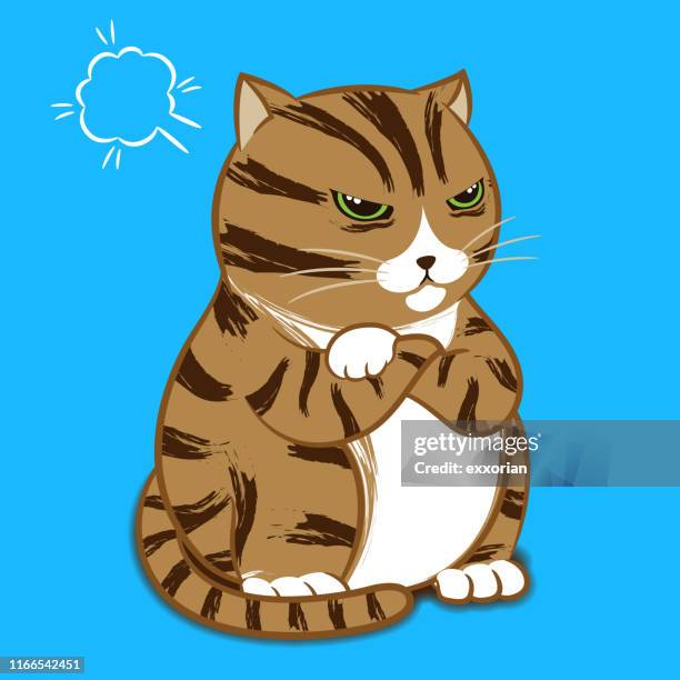 bildbanksillustrationer, clip art samt tecknat material och ikoner med tecknad karaktär-angry cat - spräcklig katt