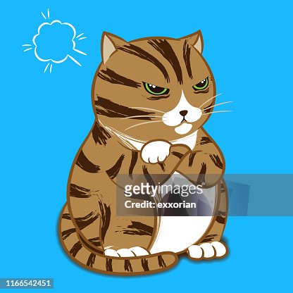 1,159 Angry Cat High Res Illustrations - Getty Images