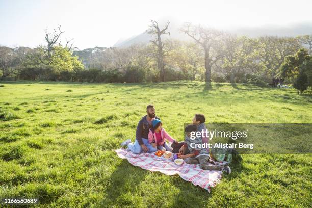 family having picnic together in a grassy park - family picnic stock-fotos und bilder