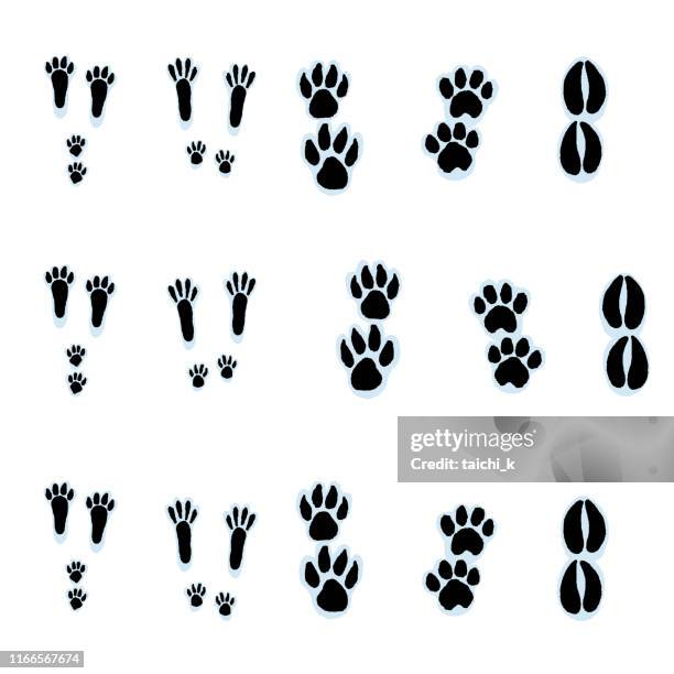 snowy mountain-footprint - raccoon dog stock illustrations