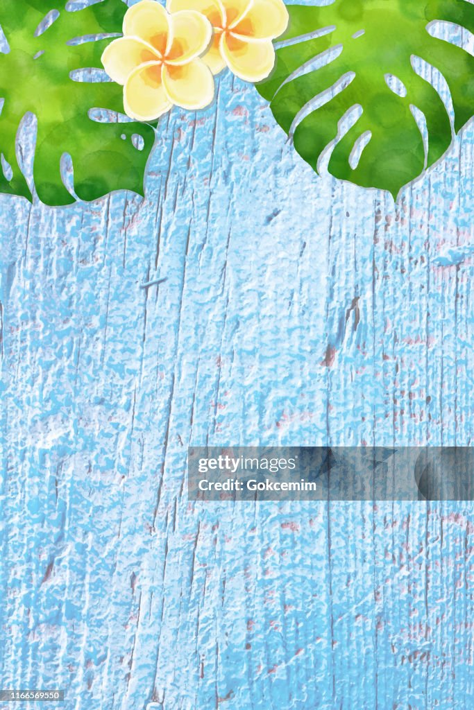 Acuarela Tropical Monstera Hojas Y Plumeria Flores Sobre Fondo De Madera Azul Marco De Diseño De Vectores Botánicos Geométricos Concepto De Verano Tropical Elemento De Diseño Marco Elegante Para Tarjetas De Felicitación Acuarela Tropical Monstera Hojas Y Plumeria Flores Sobre Fondo De Madera Azul Marco De Diseño De Vectores Botánicos Geométricos Concepto De Verano Tropical Elemento De Diseño Marco Elegante Para Tarjetas De Felicitación