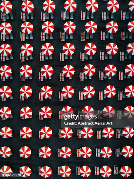 symmetrical beach umbrellas as seen from directly above, massa, italy - beach umbrella stock pictures, royalty-free photos & images