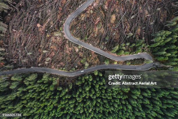 incredible perspective showing destruction to a forest caused by a storm photographed by drone, dolomites, italy - ontbossing stockfoto's en -beelden