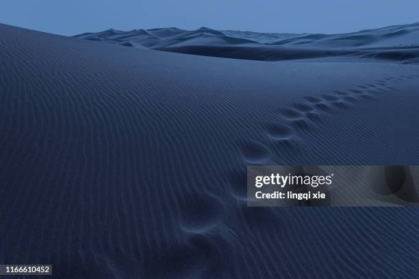 desert in the moonlight at night - mondlicht stock-fotos und bilder