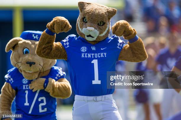 Kentucky mascots, Wildcat and Scratch, during a college football game between the Toledo Rockets and the Kentucky Wildcats on August 31 at Kroger...