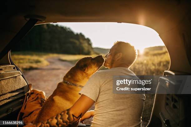 tillbringa dagen med hund i naturen - people kissing bildbanksfoton och bilder