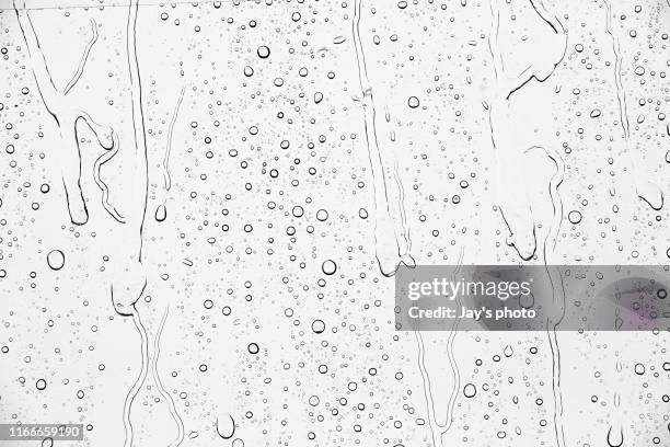 rain drop stock photo - wet stock pictures, royalty-free photos & images