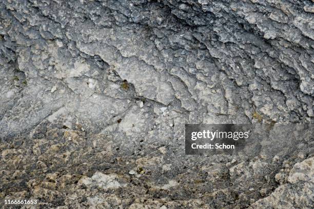 Local Limestone Pattern 69,063 Limestone Stock Photos, High-Res Pictures, and Images - Getty Images