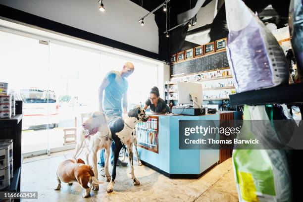 pet store owner petting customers great dane from behind counter in pet store - great customer service stock pictures, royalty-free photos & images