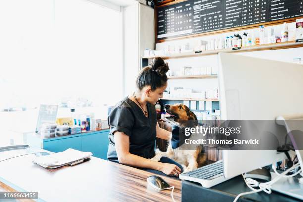 shop owner at pet store petting dog behind counter - ペットショップ ストックフォトと画像