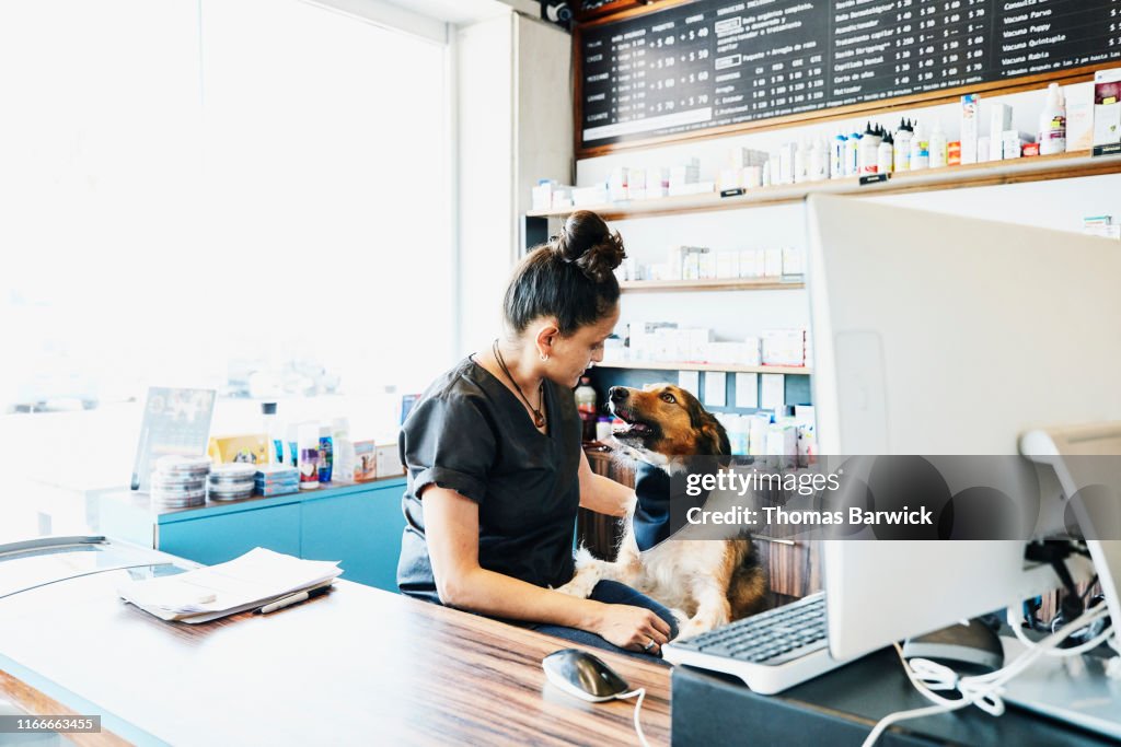 Shop owner at pet store petting dog behind counter