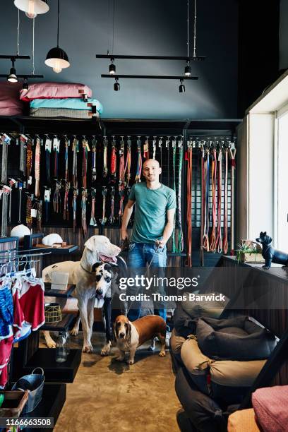 portrait of smiling man with pet dogs shopping in pet store - petshop imagens e fotografias de stock