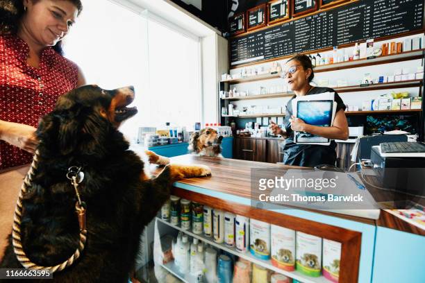 Pet store owner greeting dog and owner at counter in pet store