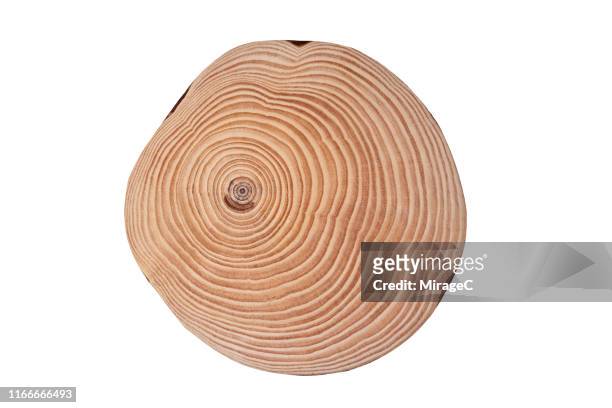 tree trunk slice and annual rings - newly industrialized country stock pictures, royalty-free photos & images