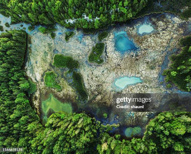 hoog mineraalgehalte wetland - watervervuiling stockfoto's en -beelden