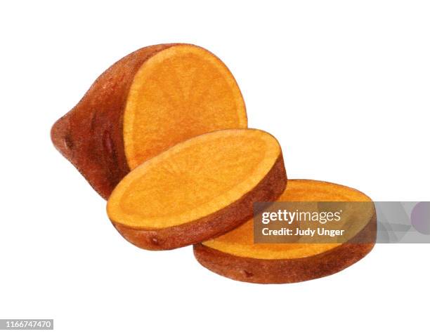 yams sliced - photo realism stock-grafiken, -clipart, -cartoons und -symbole