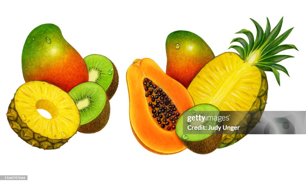 Tropical Fruit Two Groups
