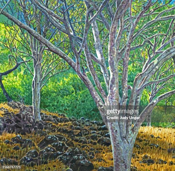 trees with lichen - photo realism stock-grafiken, -clipart, -cartoons und -symbole