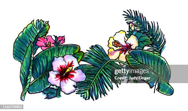 ilustraciones, imágenes clip art, dibujos animados e iconos de stock de watercolor palm and hibiscus - ferns-closeup