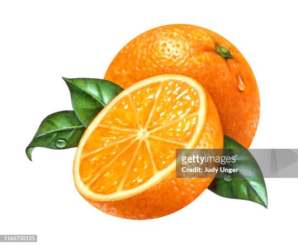 orange whole & half - single object photos stock illustrations