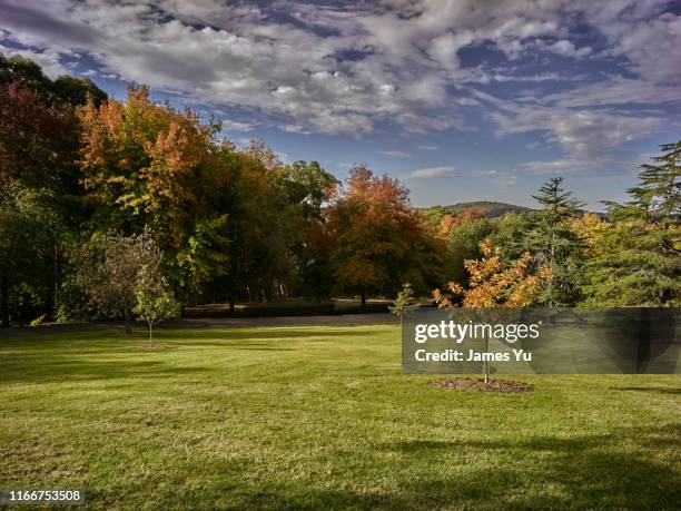 mt lofty botanic garden - mount lofty south australia stock pictures, royalty-free photos & images